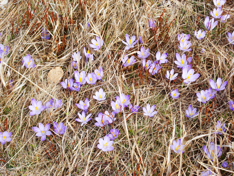 A photo taken by Poppy in Kosovo.