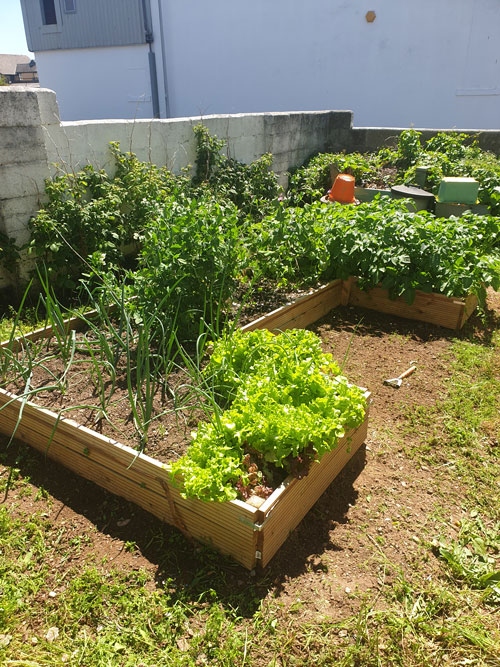 Devonport Allotment