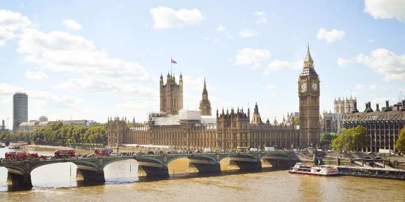 Westminster800