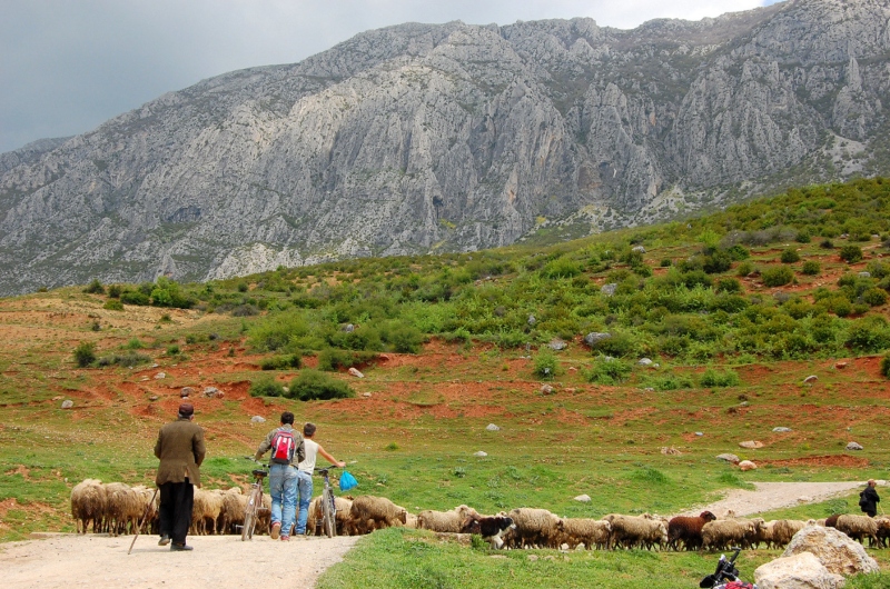 Albania Paul Alkazraji