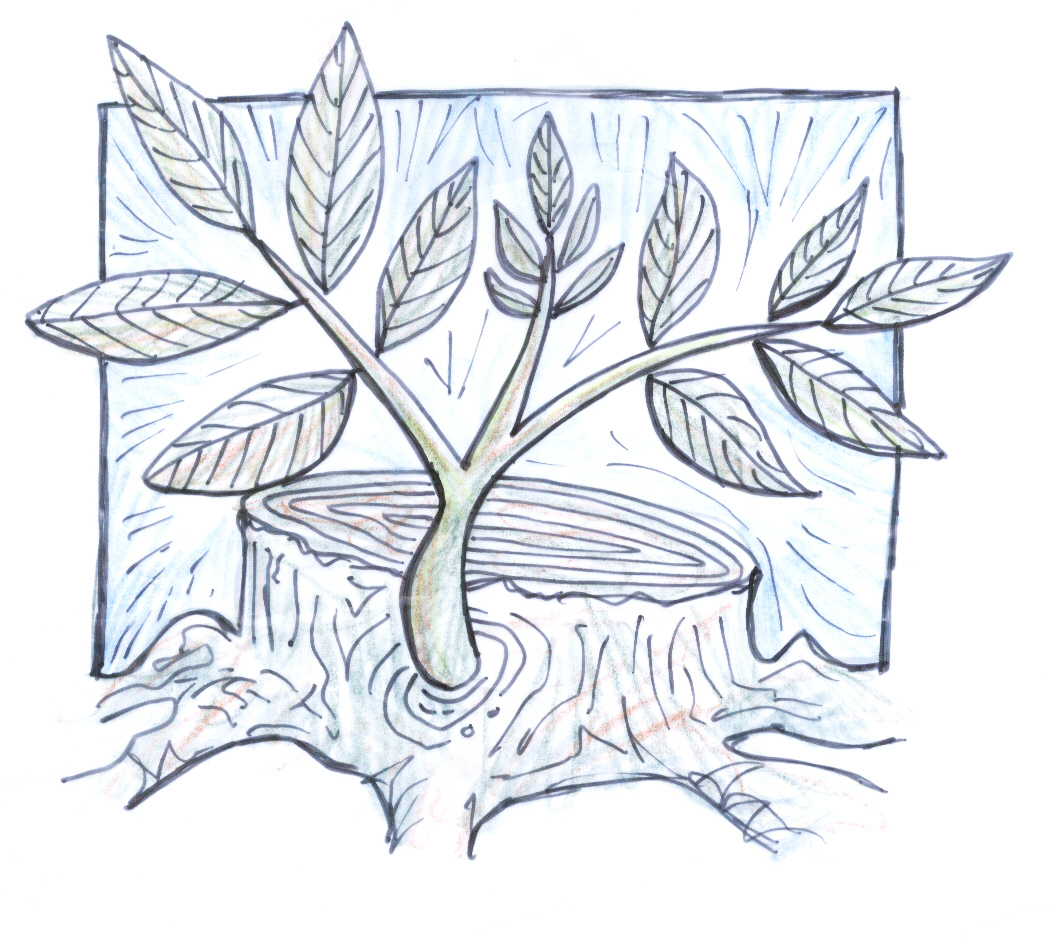 Weillington Baptist Church logo