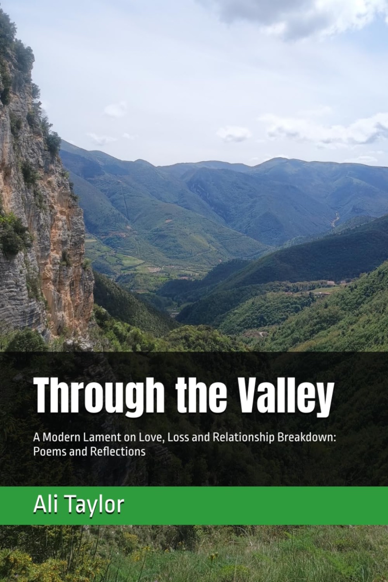 Through the Valley by Ali Taylor book cover