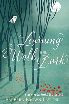 Learning to Walk in the Dark