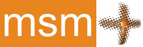 msmlogo