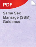 SSMGuidance