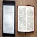 Learning under lockdown: Fast and slow reading
